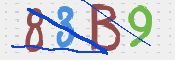 CAPTCHA Bild